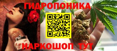 ГАЛЛЮЦИНОГЕННЫЕ ГРИБЫ Гусиноозёрск