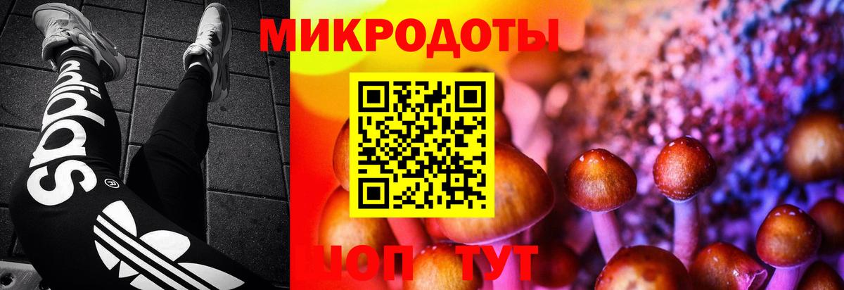 Галлюциногенные грибы прущие грибы Нальчик