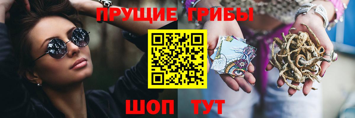 Псилоцибиновые грибы ЛСД  Вход с VPN  Псилоцибиновые грибы GOLDEN TEACHER  закладки  Нальчик 